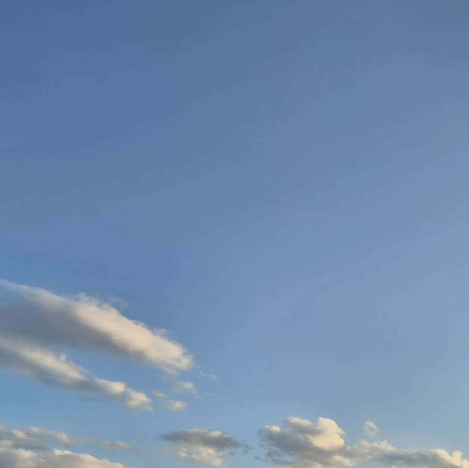 HuskyShop6305의 보스들