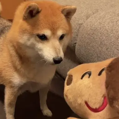 Profile image of まる