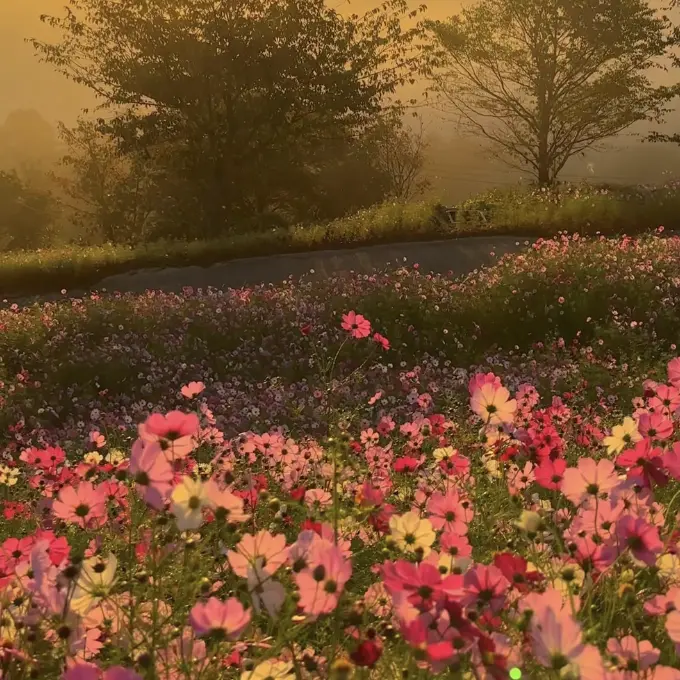 ChewyLoris1518의 メイドと私