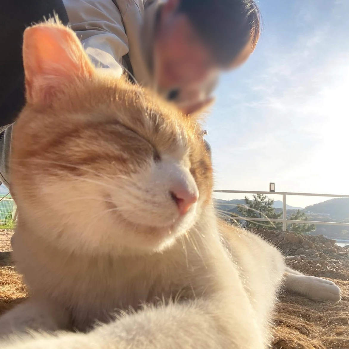 김승건