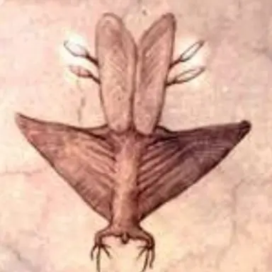Profile image of Tracking Organism