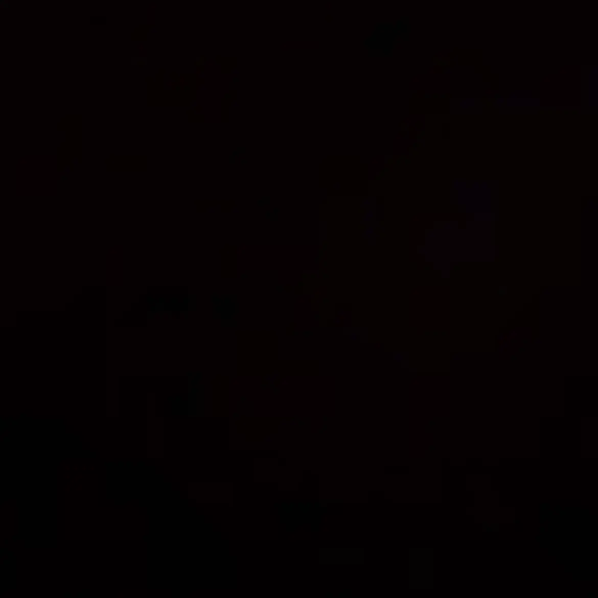 HuskyFlake1612의 유강현