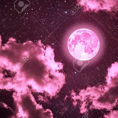 Profile image of ギャラ