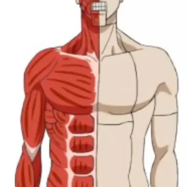 Profile image of 타로