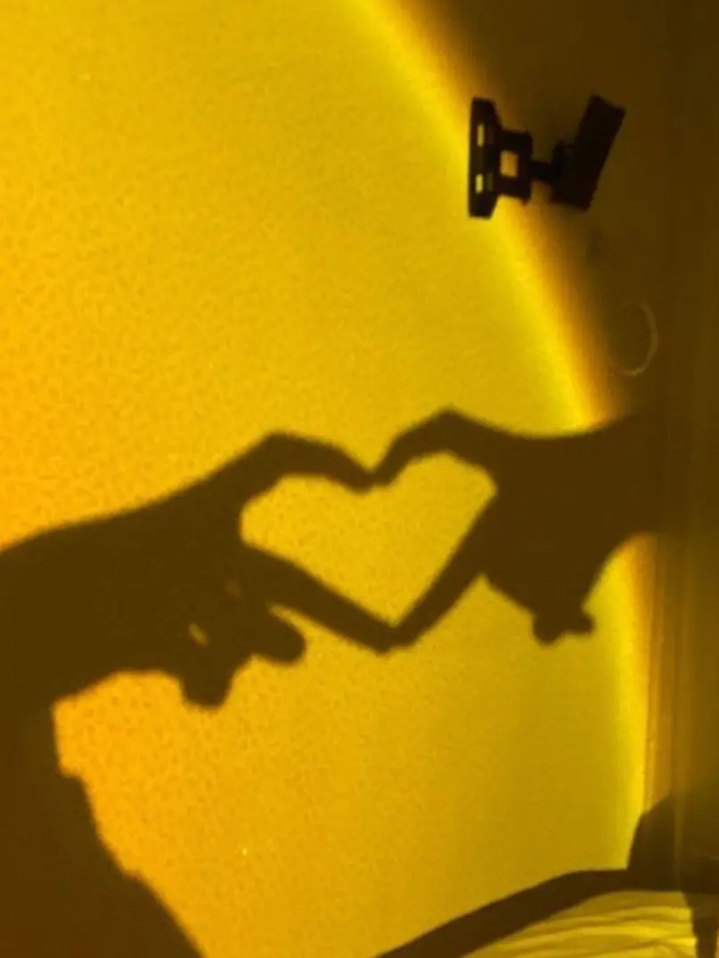 I_want_brake의 고고프렌즈×꽥꽥탐험대 연프