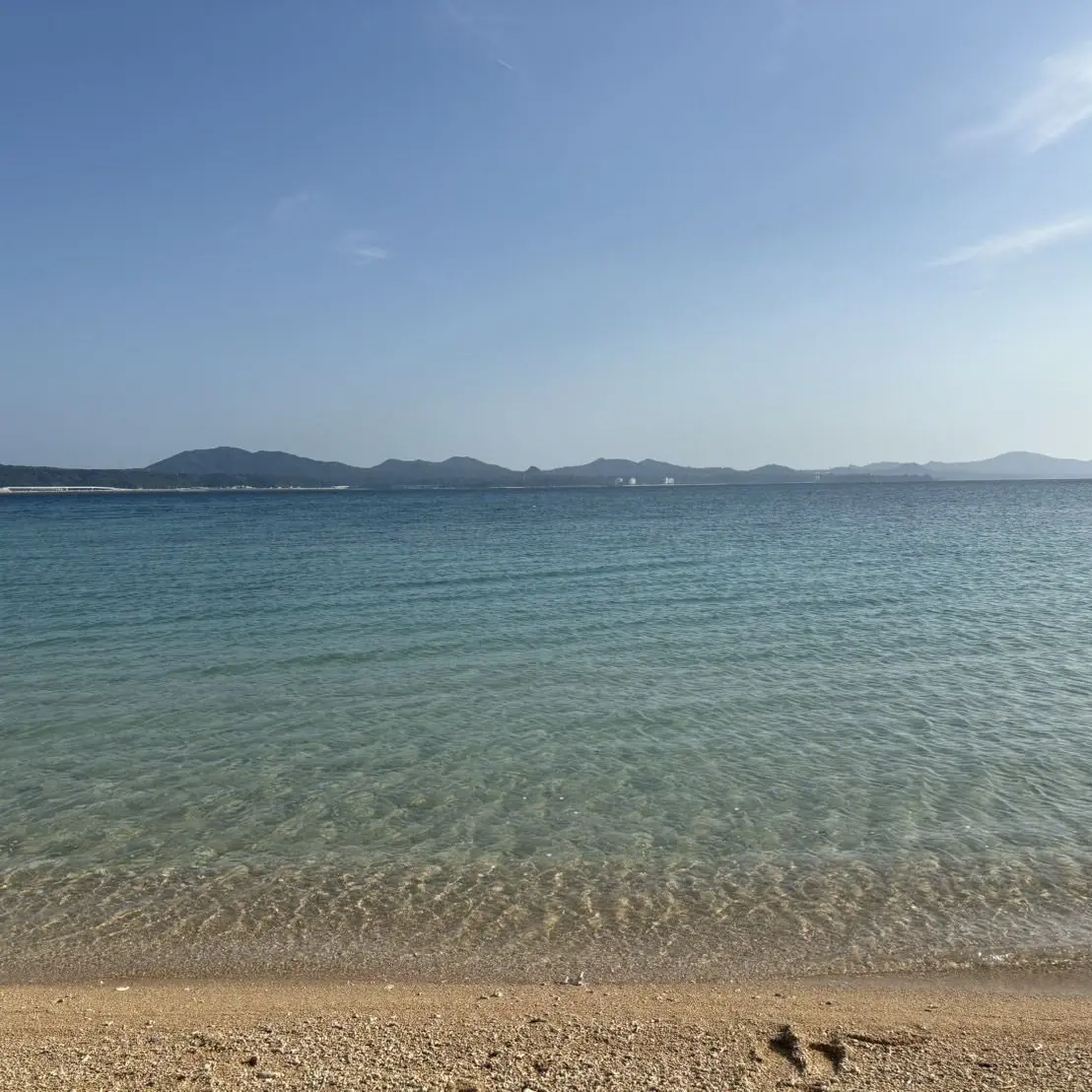 SmokyEmber4974의 兄姉達からの溺愛が止まらない