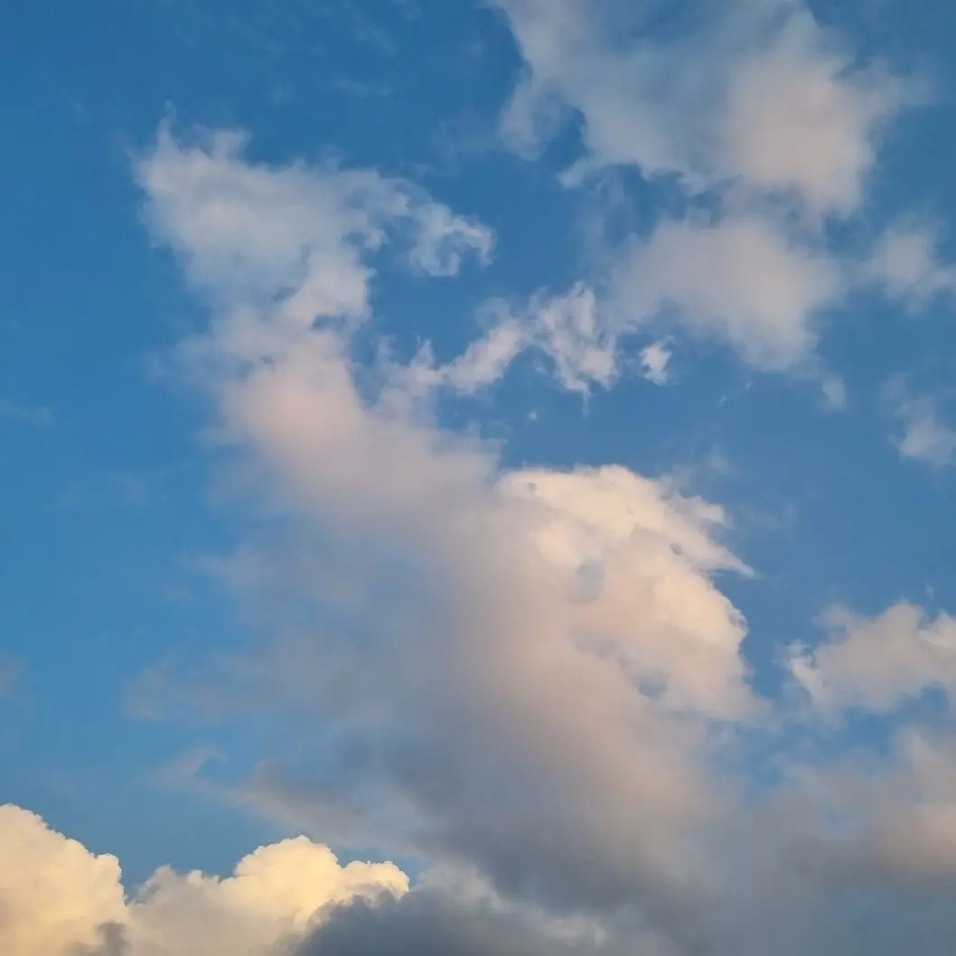 BadFence5699의 피겨 국가대표