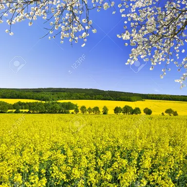 Profile image of 비스트 체인소멘