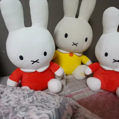 Profile image of 겜하린님 오해