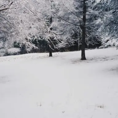 Profile image of 스프런키