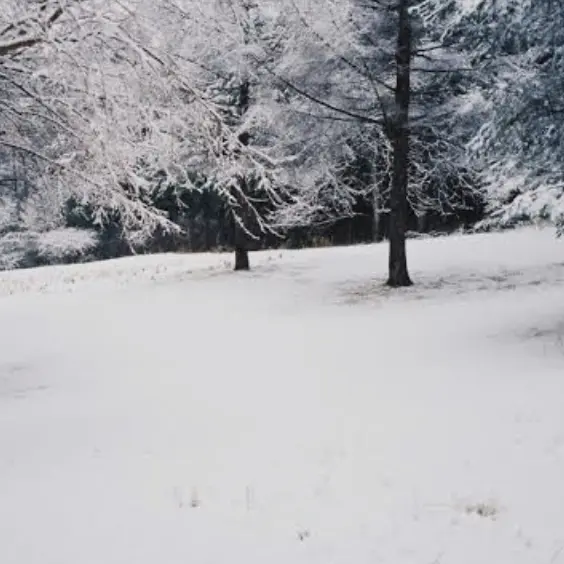 SprunkiCloverSenna의 겨울에 캠핑에서 놀고 즐기는 스프런키