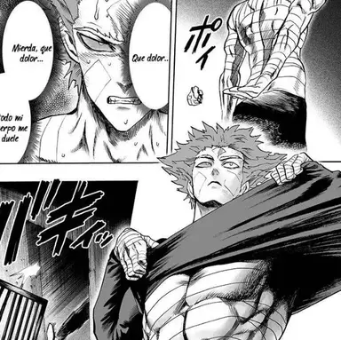 Profile image of Garou