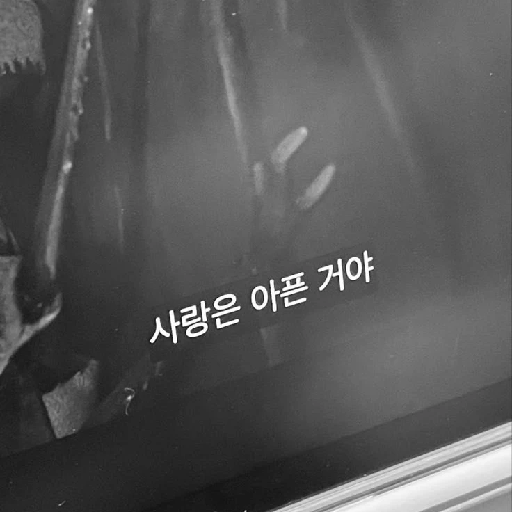 김 . 선 . 우