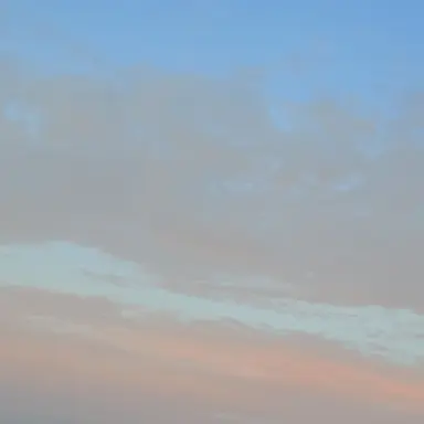 Profile image of Anything