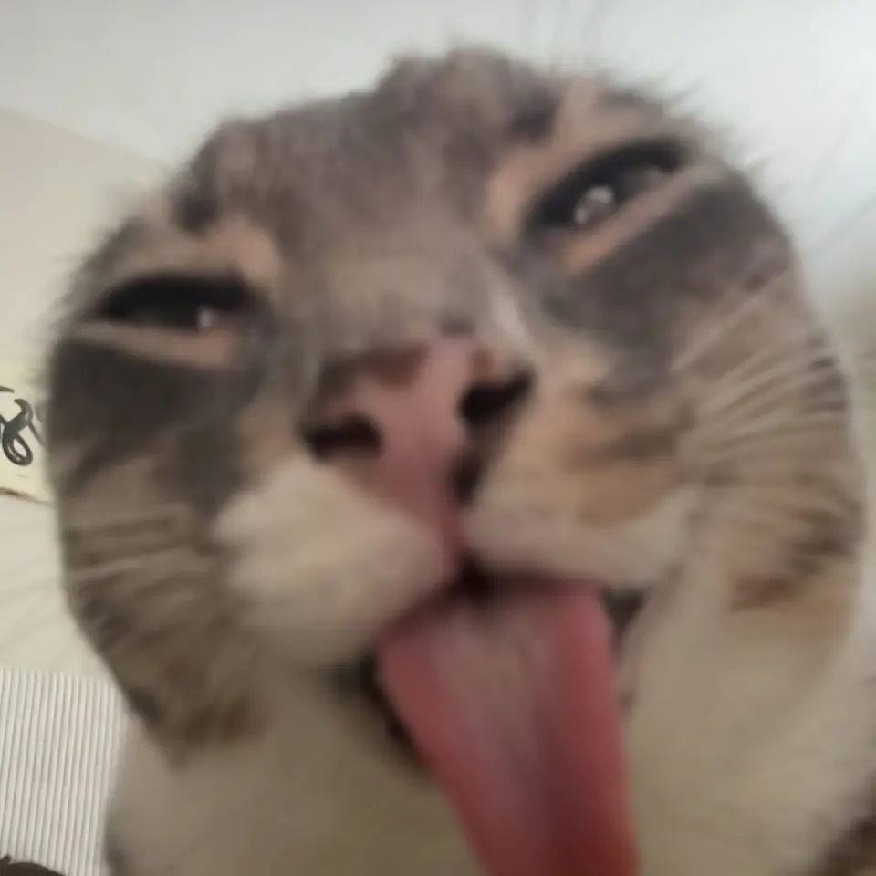 SpicyPatch3464의 1마리 기묘미 몰리