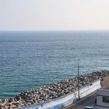 Profile image of 여우