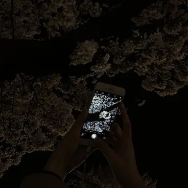 Profile image of 김민정