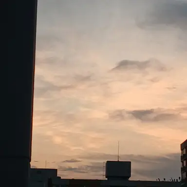 Profile image of 밤보눈 수현