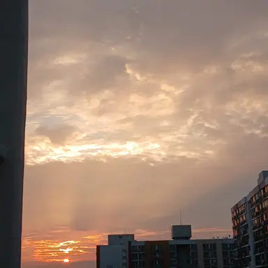 Profile image of 혁명 덕개