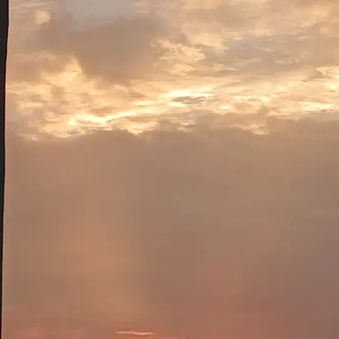 Profile image of 미수반 수현