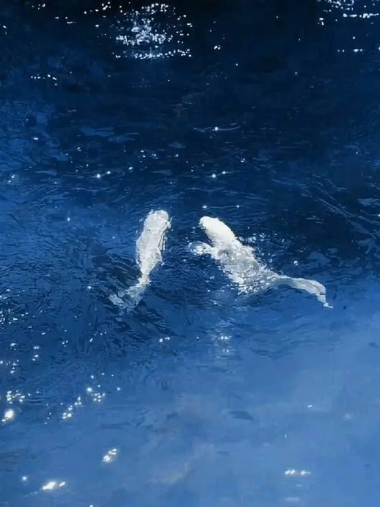 ParadiCe.의 반장 불 꺼.