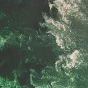 Profile image of 정공룡