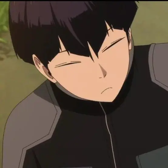 DecentRock3426의 호시나 소우시로