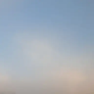 Profile image of 왕