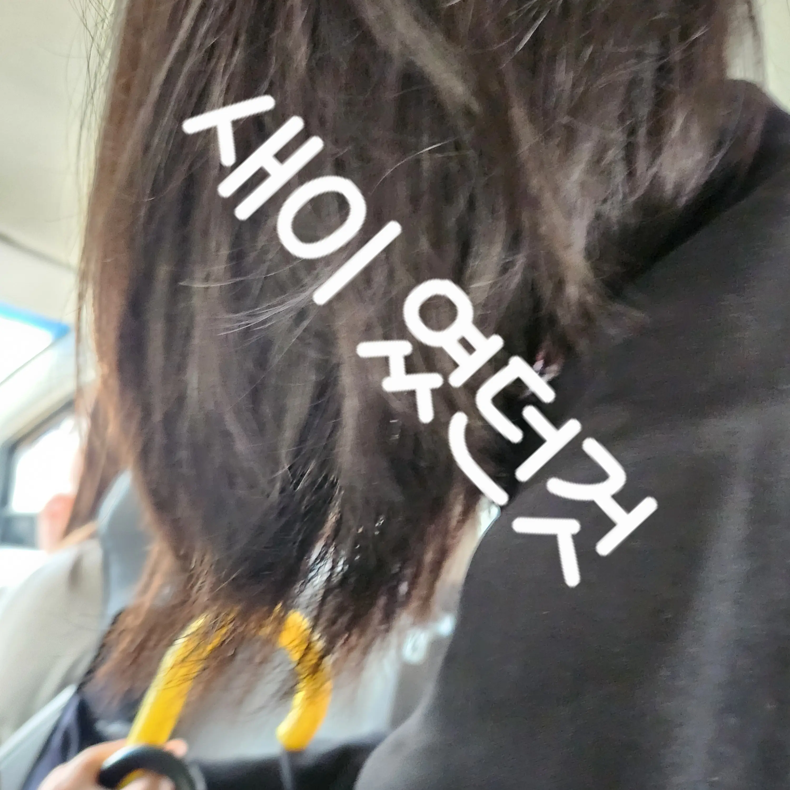 RacialDill7598의 천새이