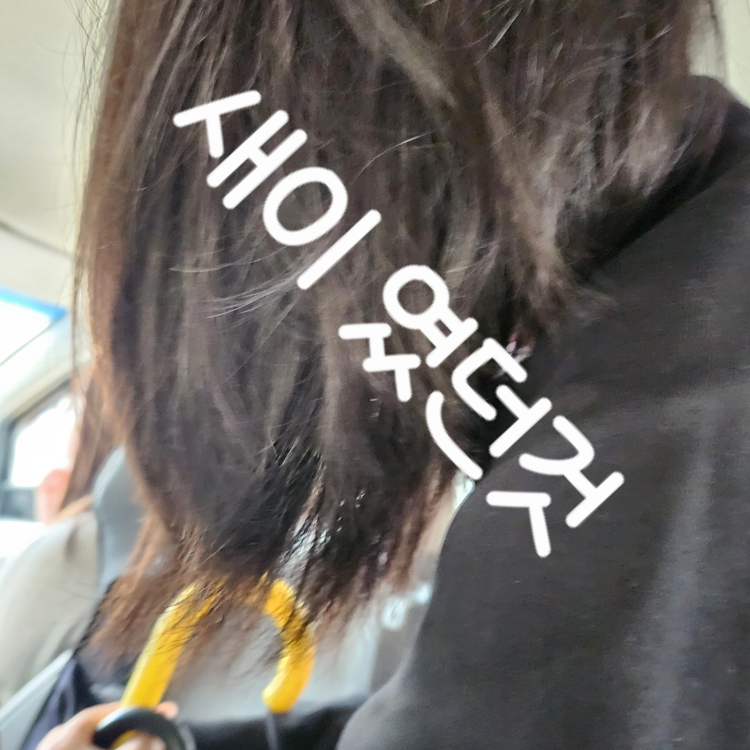 천새이