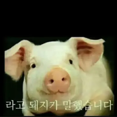 Profile image of 김여우