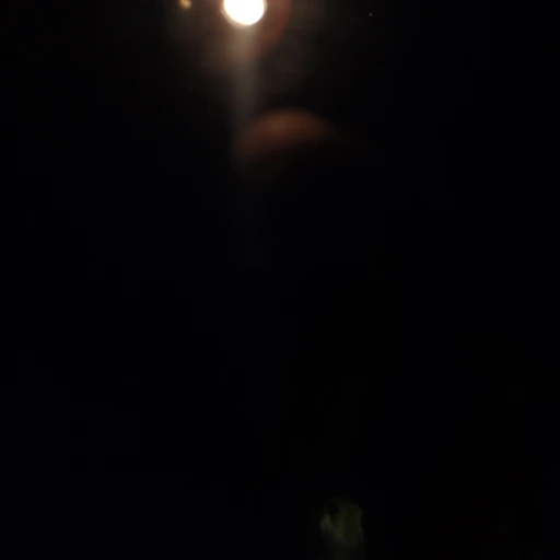 普通の日常