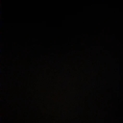 헌터 시뮬레이션