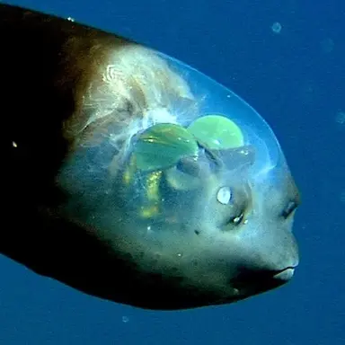 Profile image of John