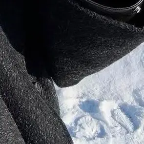 Mikyyaa의 강영현