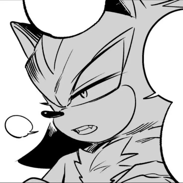 pean3564의 Shadow The Hedgehog