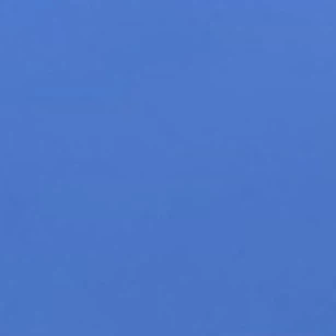 사회자
