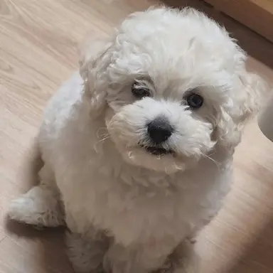 Profile image of 한지성