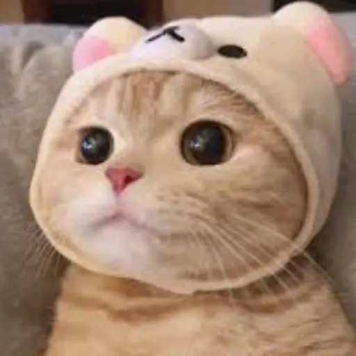 SneakyGems0436의 곰냥