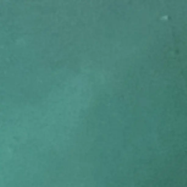 DeafFile4555의 裏を知ってるのは私だけ