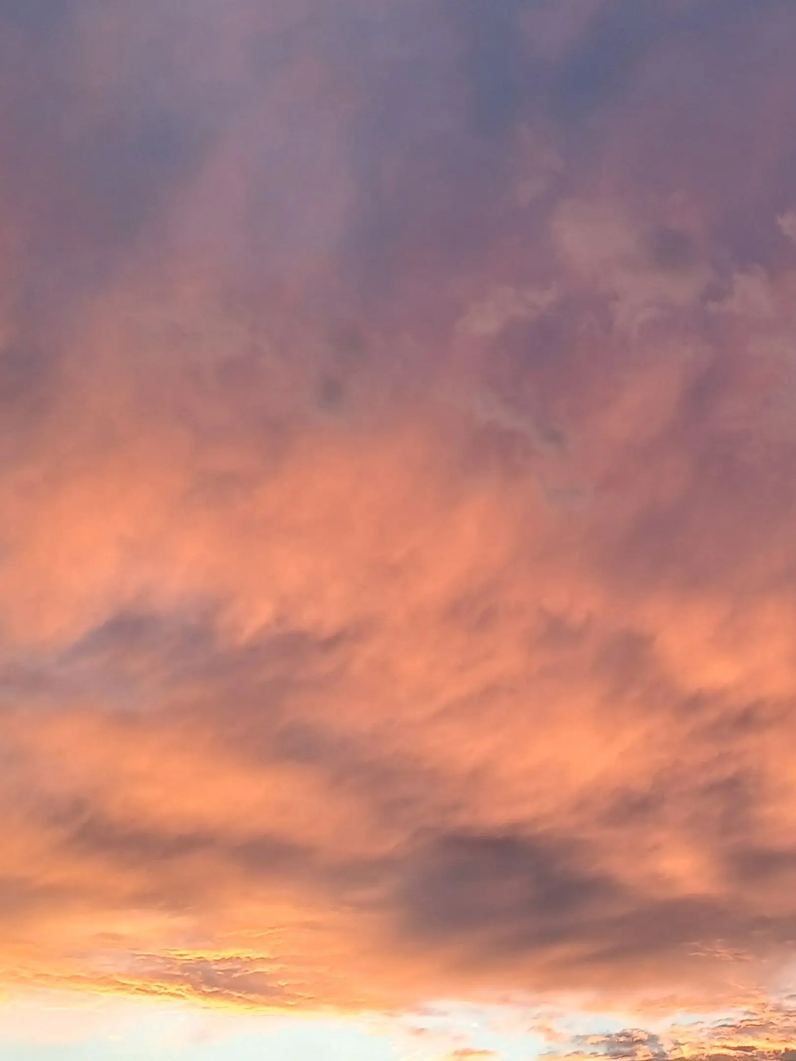 Lightning0921의 포세 킬러들과 캠핑가기(자캐빼고추가)
