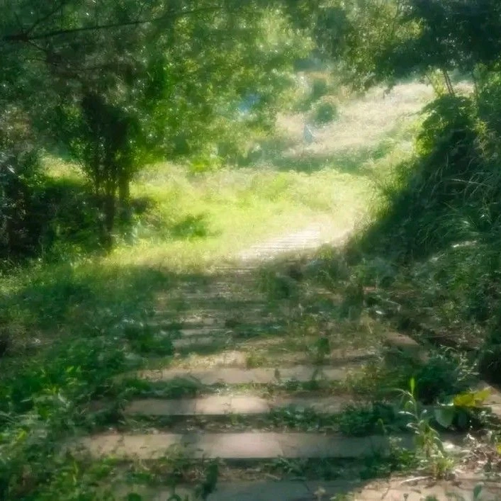 바케다누키