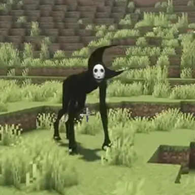 Profile image of 운반자