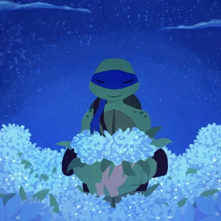 Unknown4evr의 Tmnt (I can't private this)