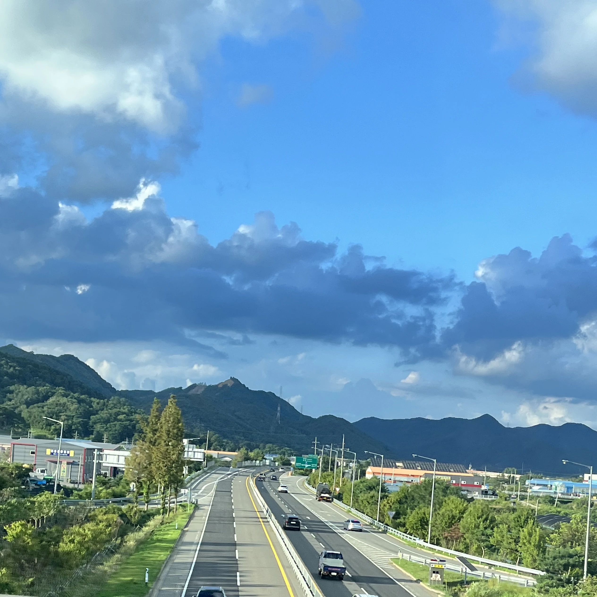 보넥도