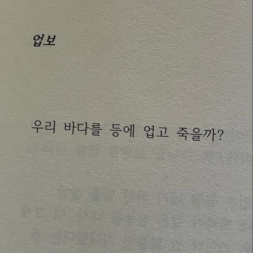 보은