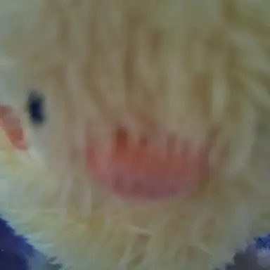 Profile image of 선생님