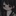 ゆき