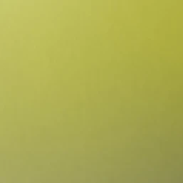 잡사