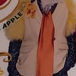 藤澤涼架